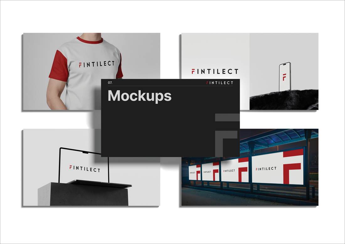 Fintilect visual 4