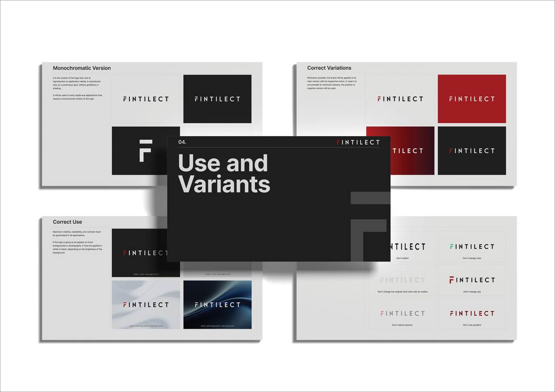 Fintilect visual 2